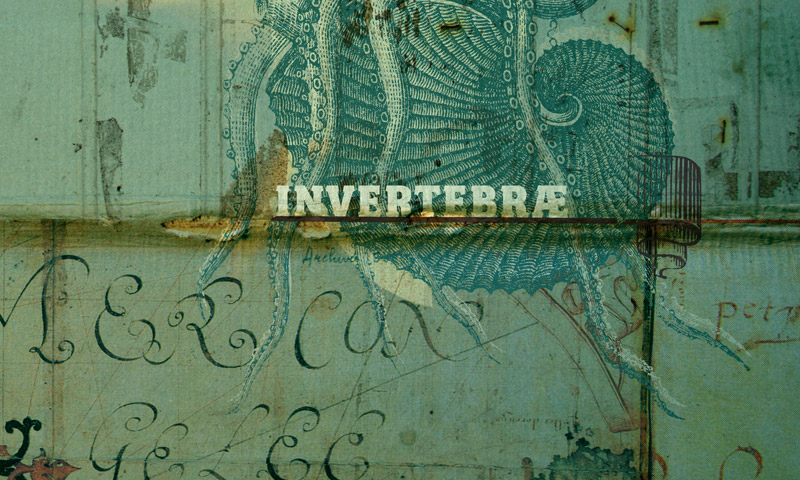 invertebræ par brainsol