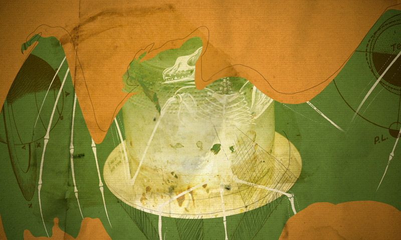 cheap bat signal par brainsol