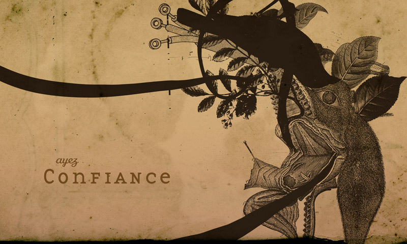 Voodoo Trust par brainsol